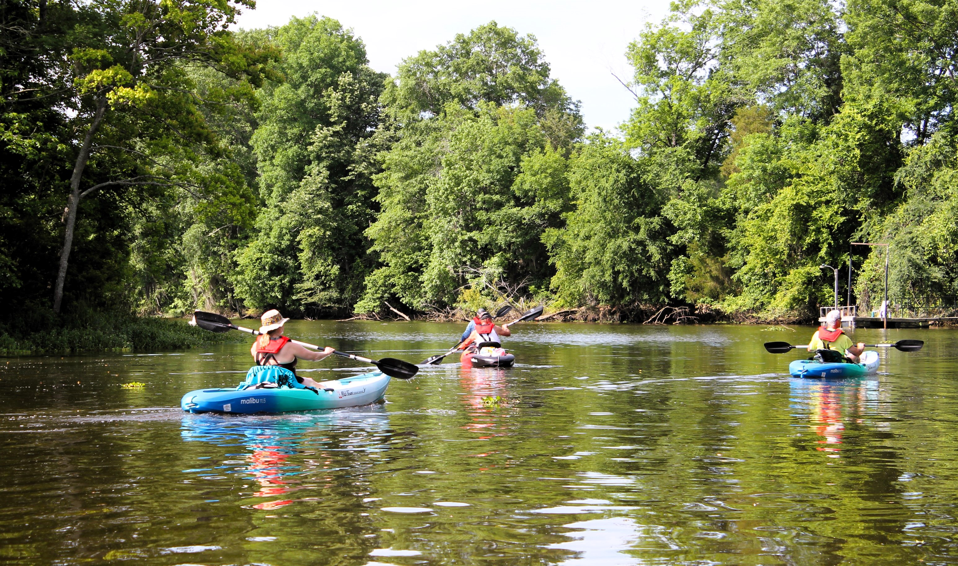 Guided Kayak Tour 1