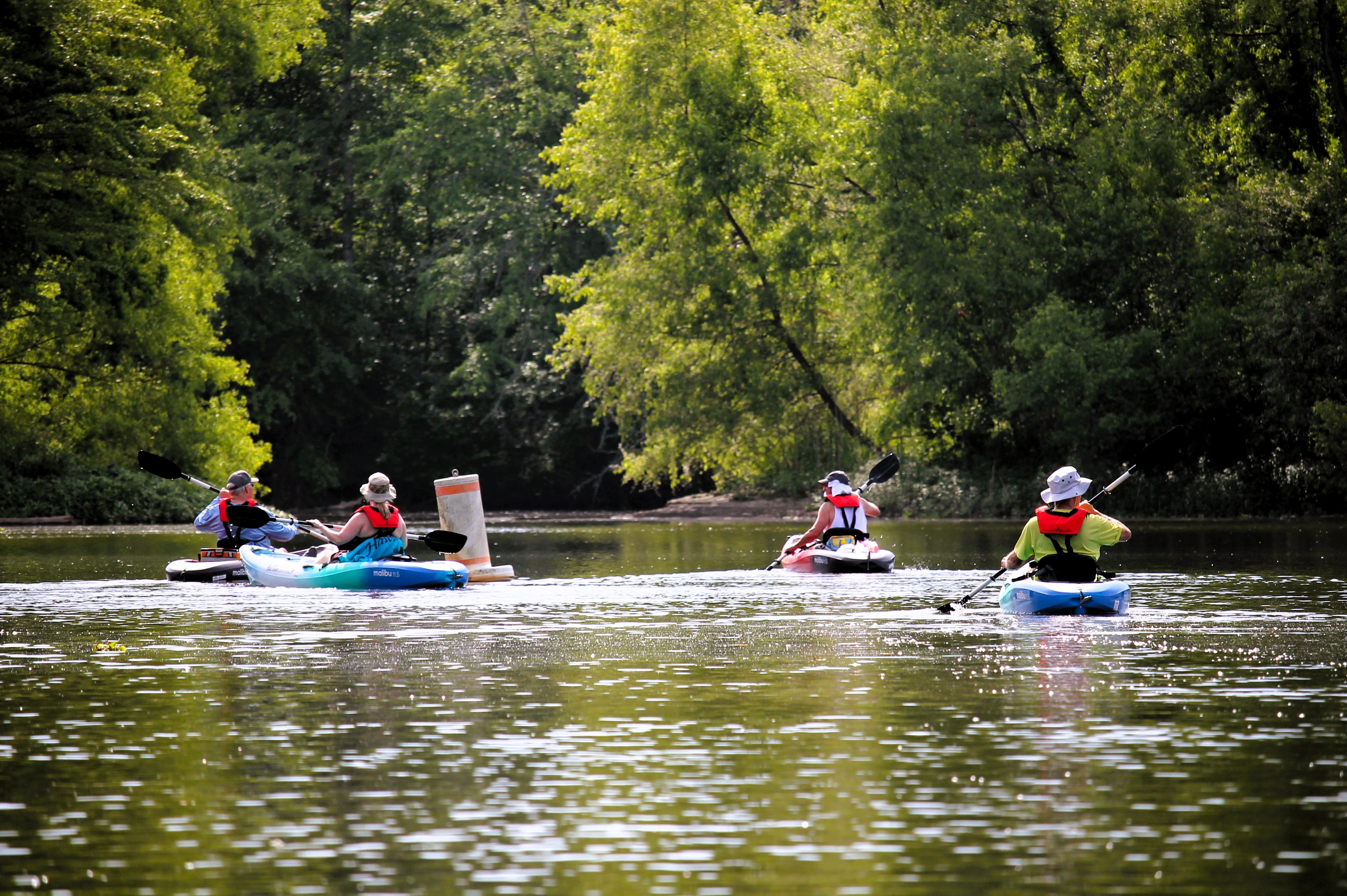 Guided Kayak Tour 2