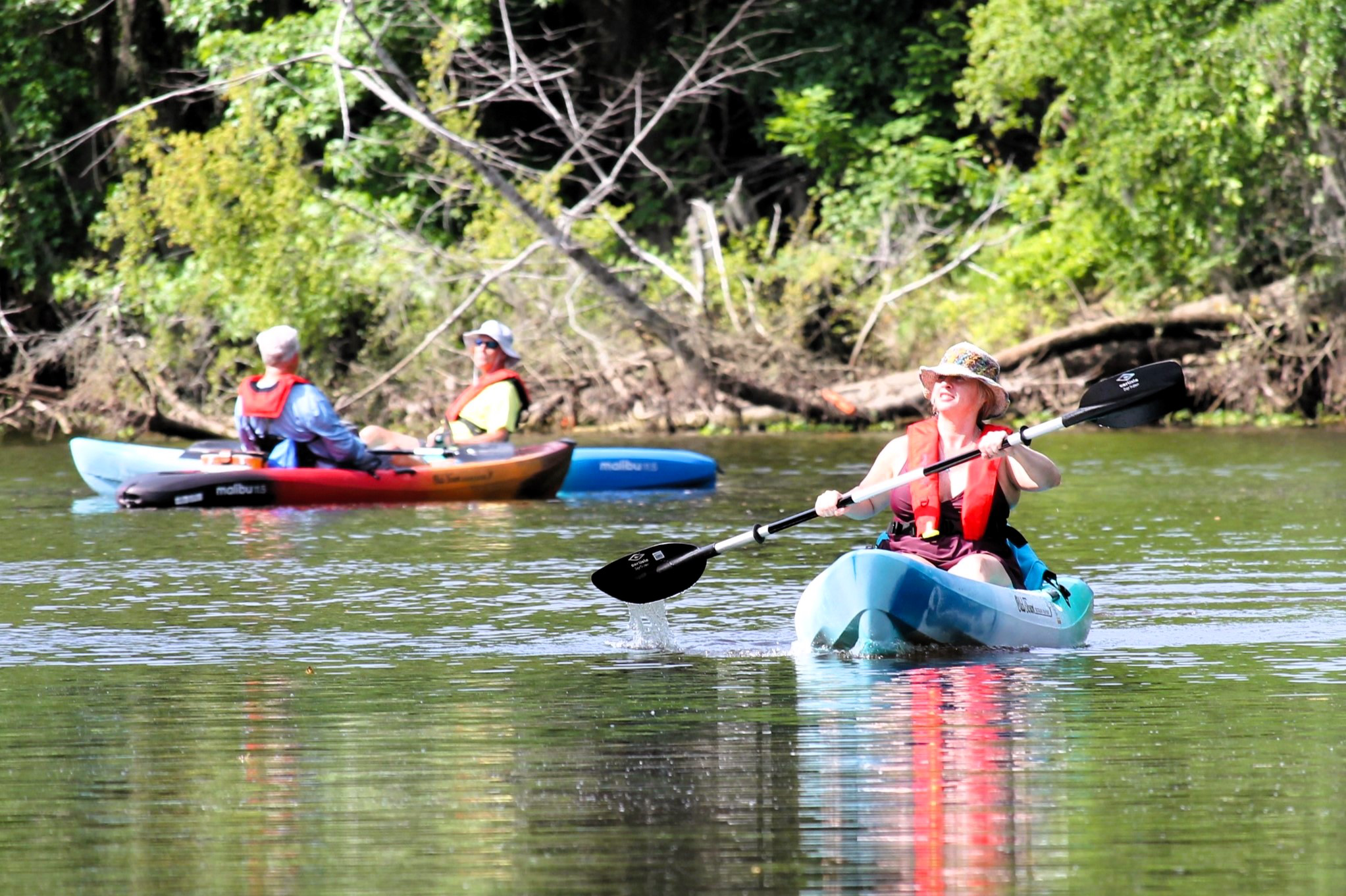 Guided Kayak Tour 3