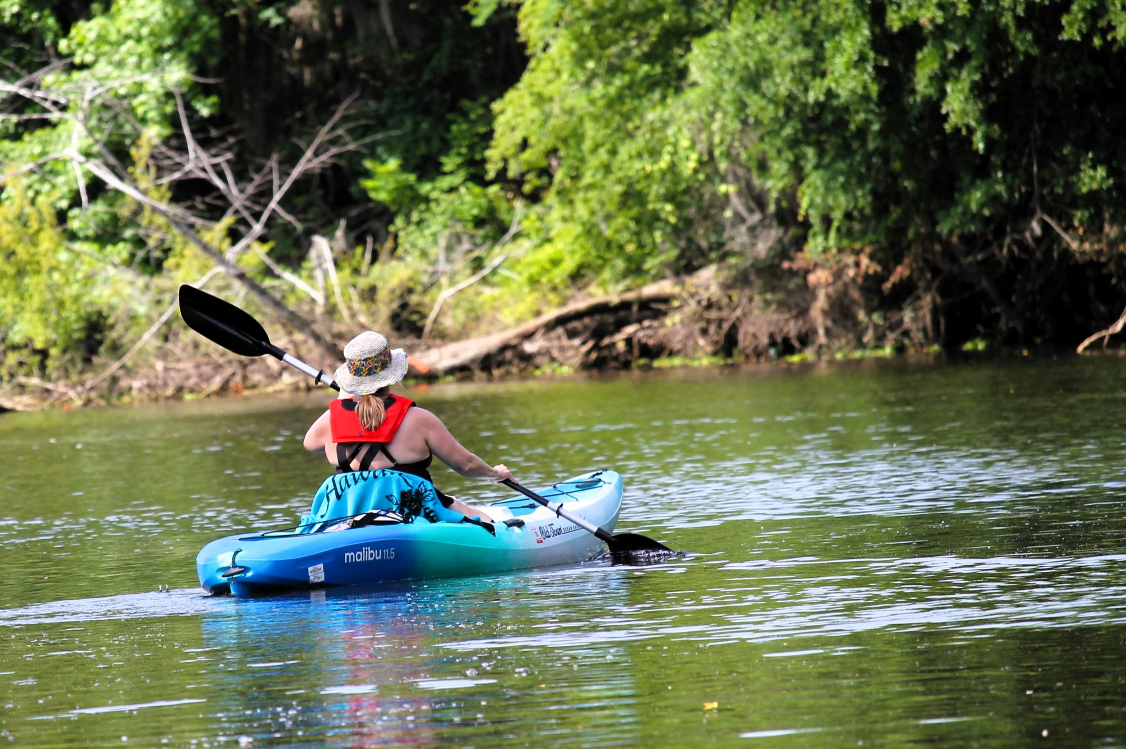 Solo Kayak Tour